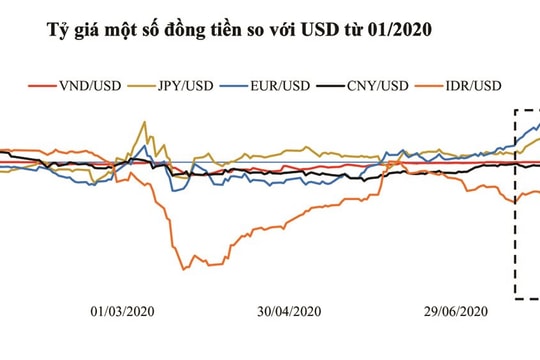 Tỷ giá VND/USD có thể giảm nhẹ