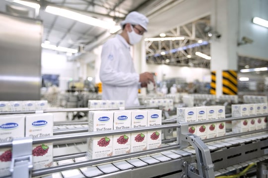 Vinamilk tích lũy gì từ hơn 20 năm “chinh chiến” ở nước ngoài?
