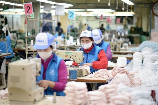 Điều tra đột xuất đánh giá tác động của dịch COVID-19 lần hai tới hoạt động sản xuất kinh doanh của doanh nghiệp
