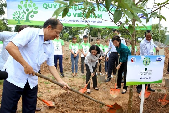 Gần 320.000 cây giống được Vinamilk trao tặng cho người dân để làm kinh tế và trồng rừng