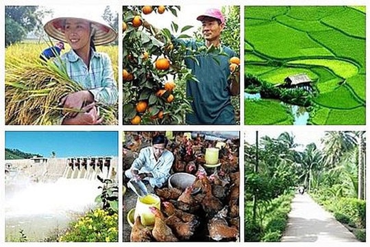 17 mục tiêu phát triển bền vững đến năm 2030