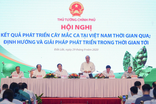 Dành nguồn vốn hỗ trợ trồng mắc ca cho người dân 