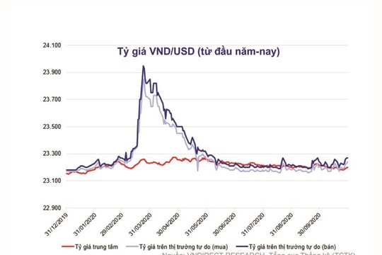 Tiền đồng có thể mạnh lên trong năm 2021