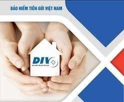 Bảo hiểm Tiền gửi Việt Nam - Phát huy nội lực vững bước phát triển
