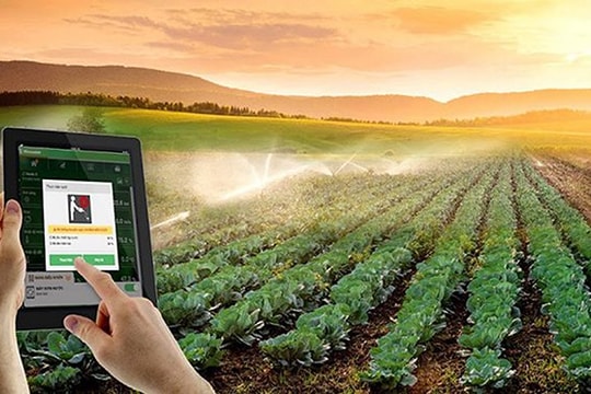 Tập trung tháo gỡ vướng mắc thúc đẩy sản xuất, tiêu thụ nông sản; chống khai thác hải sản bất hợp pháp