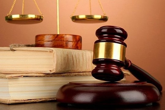 Một số Luật, Bộ luật có hiệu lực từ ngày 1/1/2021