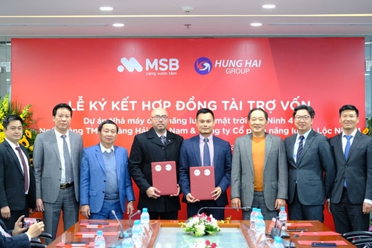 MSB công bố gói tín dụng 30.000 tỷ đồng dành riêng cho các dự án năng lượng tái tạo
