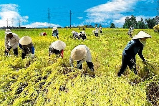 Kéo dài thời gian hỗ trợ phí bảo hiểm nông nghiệp 