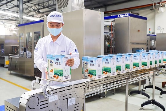 Doanh thu của Vinamilk tăng trưởng ổn định cả thị trường trong nước và xuất khẩu