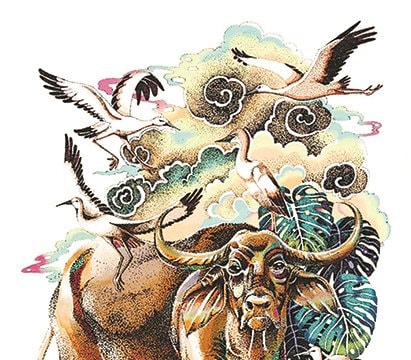 Tin tức, h&igrave;nh ảnh, video clip mới nhất về con tr&acirc;u