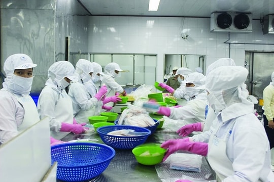 Phê duyệt đề án thúc đẩy xuất khẩu nông lâm thuỷ sản đến năm 2030