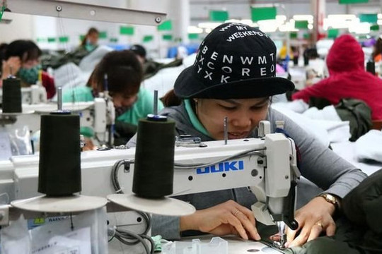 Tổng quan doanh nghiệp năm 2020 trong "bình thường mới"