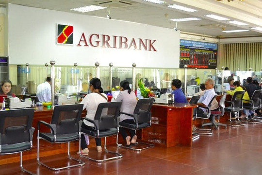 Có một ngân hàng, gia đình tôi nguyện... "ăn đời ở kiếp"