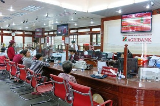 Dành trọn niềm tin yêu