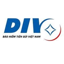 Bảo hiểm Tiền gửi Việt Nam tuổi 20