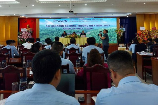 Tổng công ty Lâm nghiệp Việt Nam: Lợi nhuận đi xuống, do đâu?