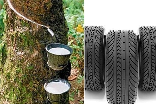 Quý I/2021, Tập đoàn Công nghiệp Cao su Việt Nam (GVR) báo lãi hơn 3 lần cùng kỳ năm trước
