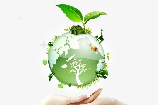 Sửa đổi và bổ sung một số mức phạt vi phạm về môi trường