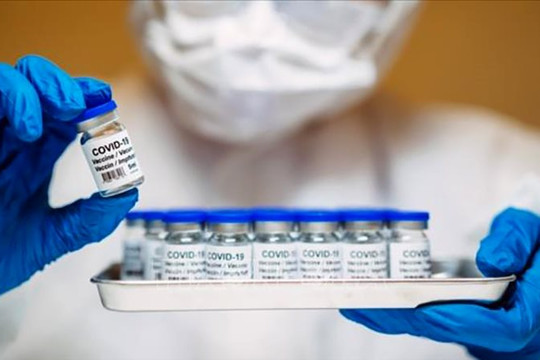 8 loại vắc-xin phòng COVID-19 được phê duyệt có điều kiện tại Việt Nam
