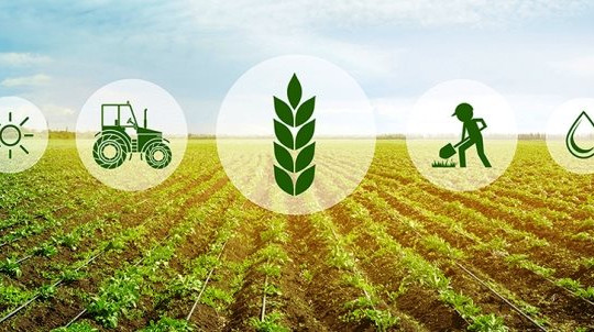 Chuyển nông nghiệp sản lượng cao sang nông nghiệp công nghệ cao, sinh thái