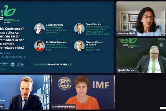 Hội nghị trực tuyến toàn cầu Thiên nga Xanh 2021: Tăng cường phối hợp ứng phó các rủi ro biến đổi khí hậu
