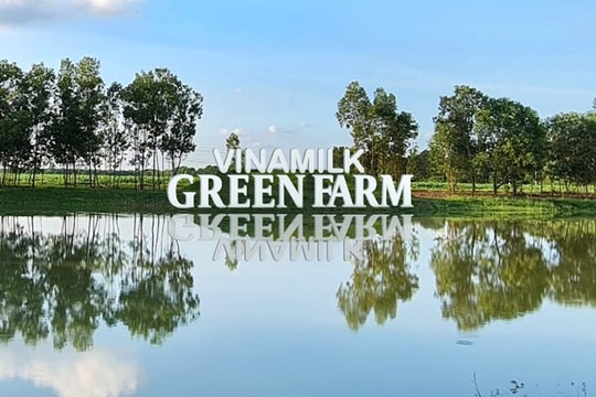 Vinamilk trong nhóm dẫn đầu Top 50 doanh nghiệp niêm yết tốt nhất 2021