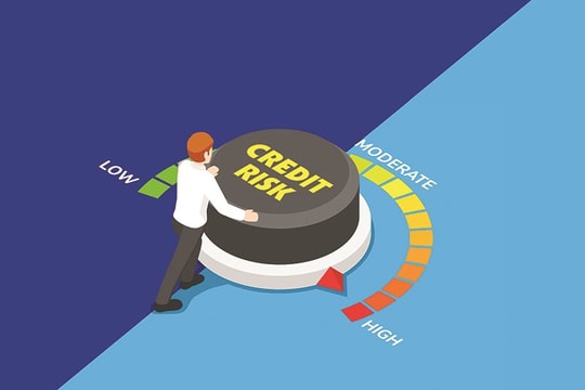 Rủi ro tín dụng tại các ngân hàng thương mại Việt Nam giai đoạn hậu WTO: Ảnh hưởng của các nhân tố vi mô và vĩ mô