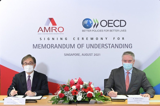 AMRO – OECD: Nâng tầm quan hệ đối tác chiến lược