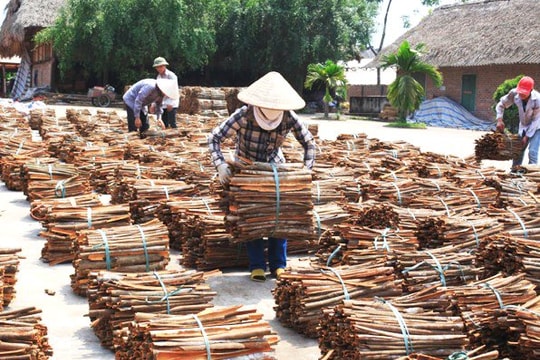 Chính phủ ban hành Nghị quyết hỗ trợ doanh nghiệp, HTX, hộ kinh doanh trong bối cảnh dịch COVID-19