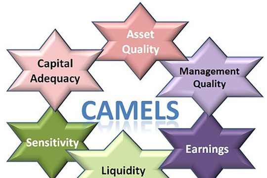 Đánh giá hiệu quả hoạt động của tổ chức tài chính vi mô CEP qua mô hình CAMELS