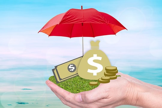 Ra mắt Quỹ Đầu tư trái phiếu thanh khoản VinaCapital (VLBF)