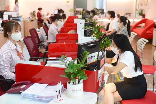 Sẽ giải ngân hàng chục triệu USD cho các dự án xanh ở Việt Nam