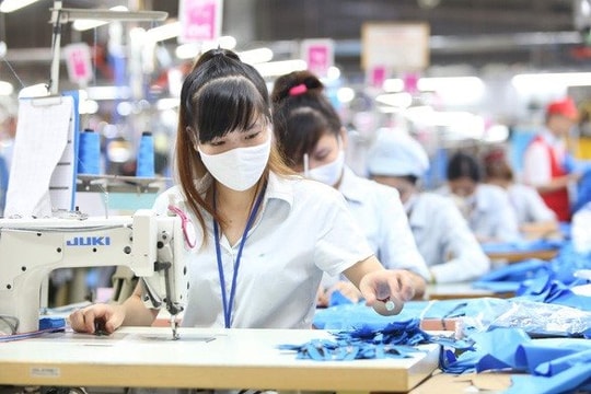 Thực hiện chính sách hỗ trợ người lao động, người sử dụng lao động bị ảnh hưởng bởi đại dịch COVID-19