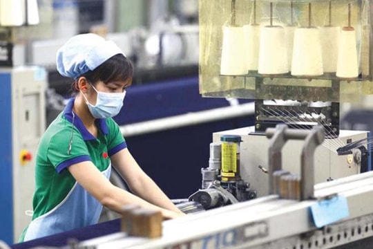 Doanh nghiệp đăng ký thành lập mới sụt giảm