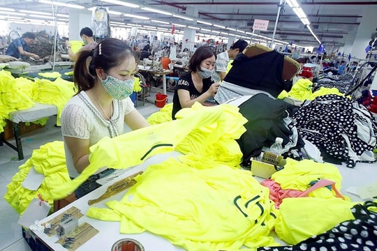 Năm lưu ý dành cho doanh nghiệp xuất khẩu sang EU