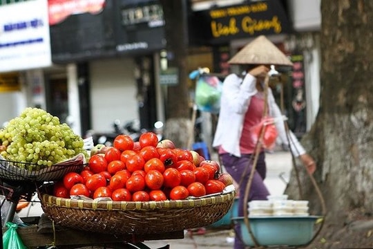 VEPR: Hộ kinh doanh đóng góp 30% GDP