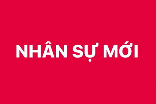 Bổ nhiệm 3 Trợ lý Thủ tướng, Phó Thủ tướng Chính phủ