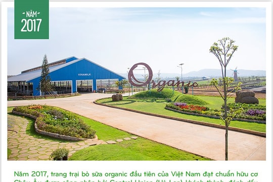 15 năm xây dựng hệ thống trang trại của “triệu phú sữa tươi” Việt Nam