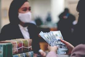 Tín dụng ngoại tệ chỉ chiếm 7% trong tổng dư nợ tín dụng trên địa bàn TP. Hồ Chí Minh