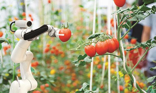 Chính sách tài chính, tín dụng hỗ trợ phát triển nông nghiệp công nghệ cao - Kinh nghiệm của một số nước và bài học cho Việt Nam