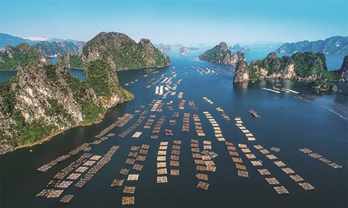 Tín dụng ngành Ngân hàng góp phần phát triển kinh tế biển