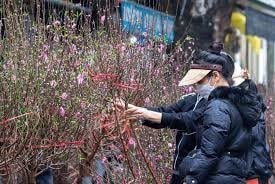 Thủ tướng đôn đốc bộ ngành, địa phương thực hiện nhiệm vụ phục vụ Nhân dân đón Tết