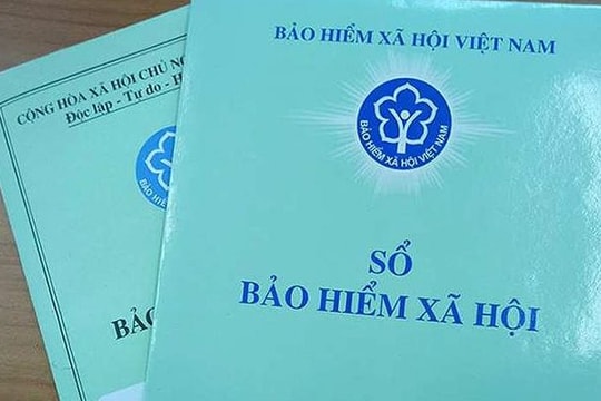 [Infographic] Những mức phạt phổ biến về lao động, bảo hiểm xã hội