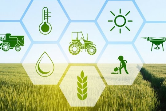 Phê duyệt Chiến lược phát triển nông nghiệp và nông thôn bền vững giai đoạn 2021 – 2030, tầm nhìn đến năm 2050