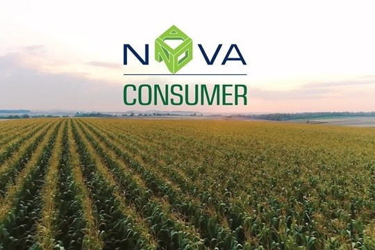 Thêm một trụ cột của NovaGroup chuẩn bị lên sàn