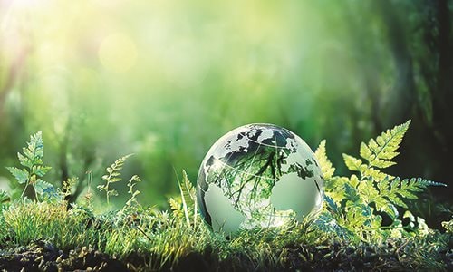 Kinh nghiệm cho vay ưu đãi bảo vệ môi trường của Hàn Quốc, Thái Lan và khuyến nghị chính sách cho Việt Nam
