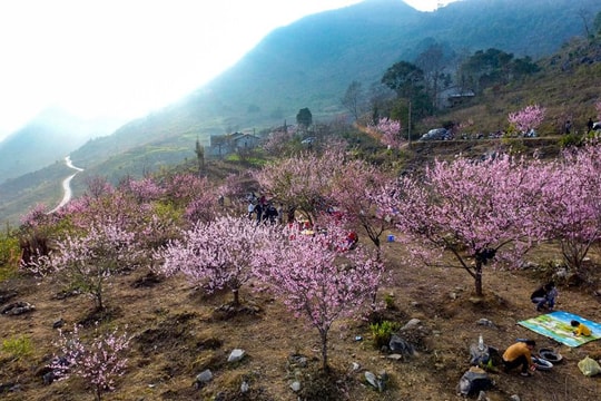 Tổ chức Cuộc thi và Triển lãm Ảnh nghệ thuật Việt Nam