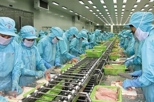 Đầu tư Đa quốc gia (IDI) lên kế hoạch chi trả cổ tức tiền mặt tỷ lệ 45%