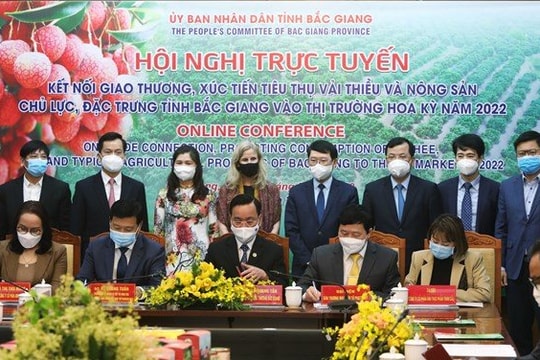 Tỉnh Bắc Giang đẩy mạnh xuất khẩu vải thiều sang Mỹ