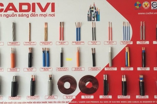 Năm 2021, Cadivi (CAV) trả cổ tức tỷ lệ 50%